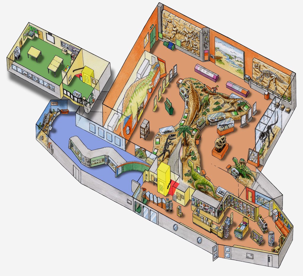 Site plan of layout inside Dinosaur Isle Museum